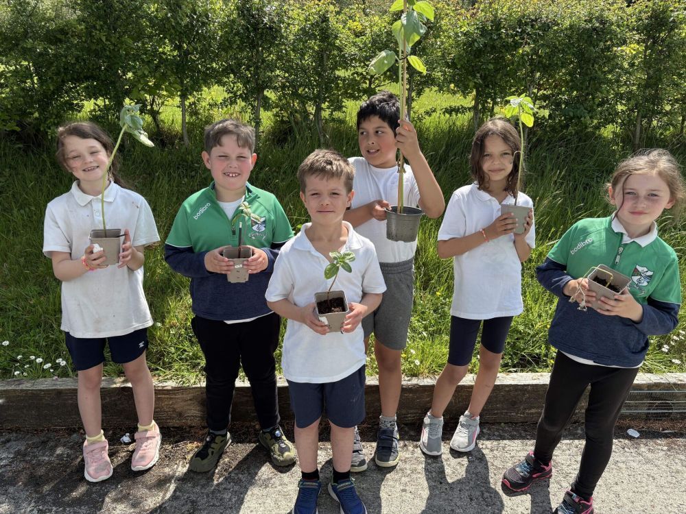 children holding their sunflower seedlings